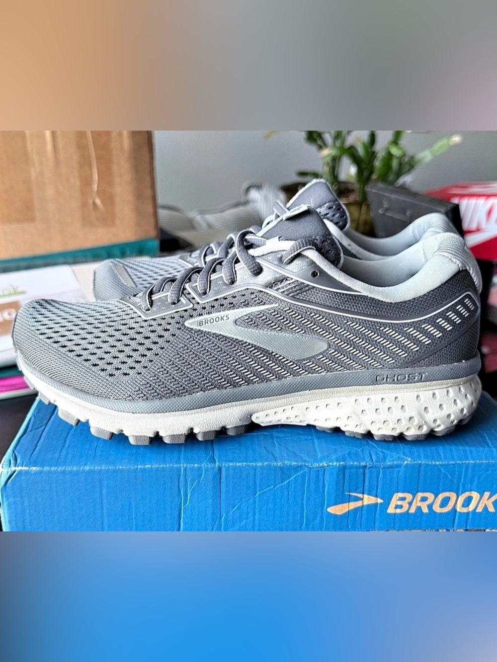 Brooks Ghost 12